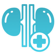Kidney Health